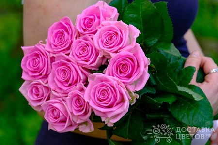 Букет из 11 розовых роз "Аква"